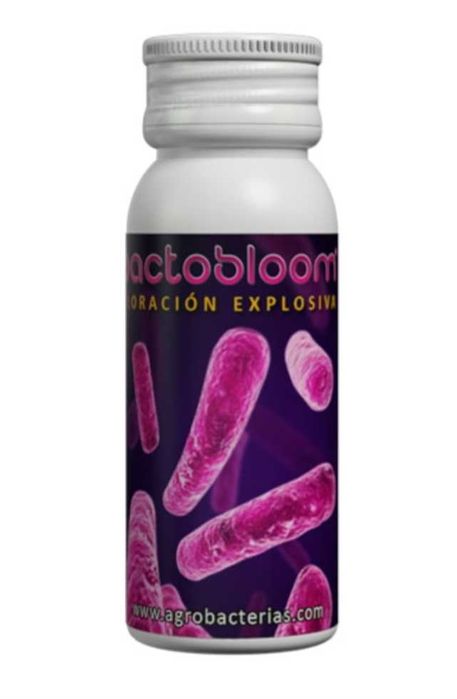 Agrobactérias bacilos 40%