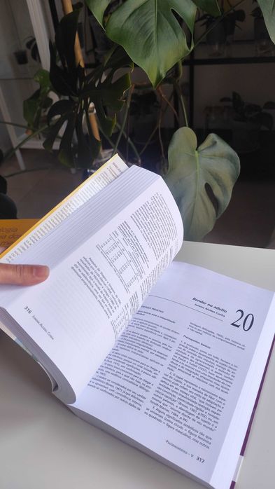 Livro Psicodiagnóstico-V