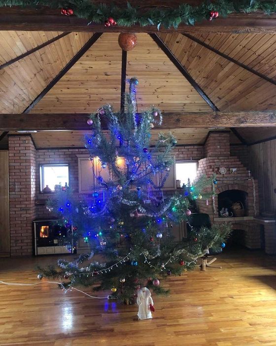 с КАМИНОМ в лесу, аренда дома у хозяина