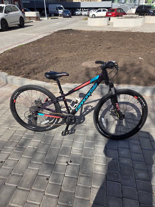 Connadal trail 24"