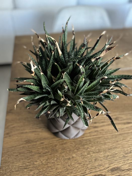 Vaso efeito almofada