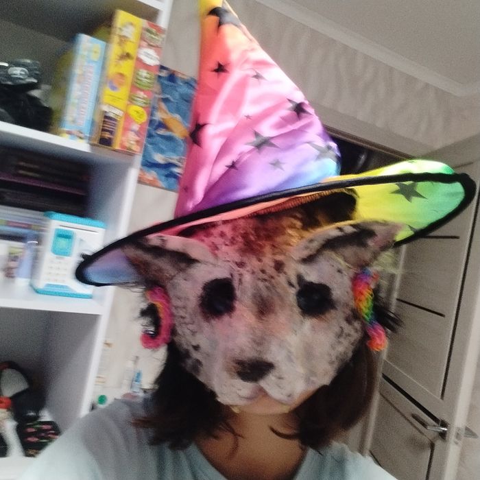 Маска барса обмен на маски,хвости