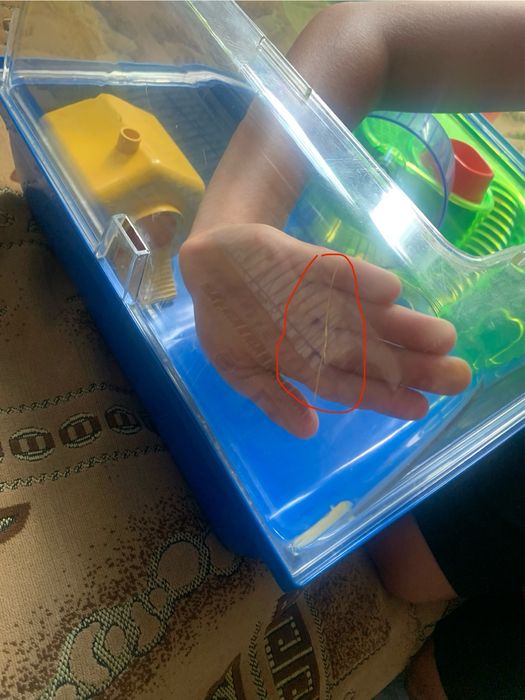 Продам клетку для хомяка