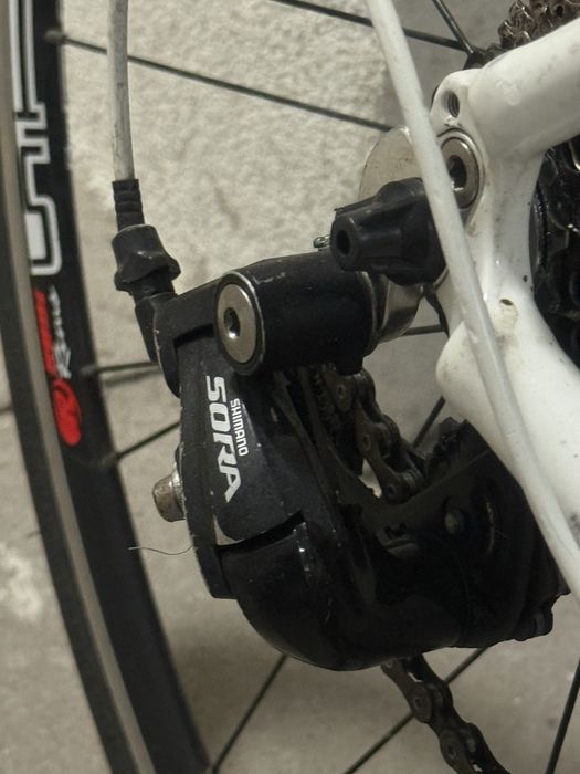 Rower szosowy Scatto Linea , widelec Carbon