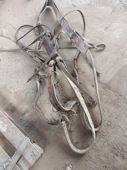 Uprząż dla konia stara