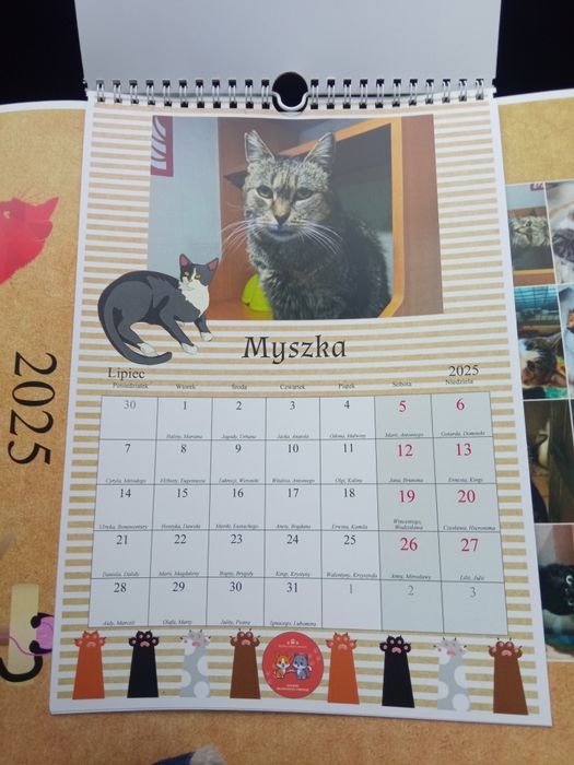 Koci kalendarz 2025 A1