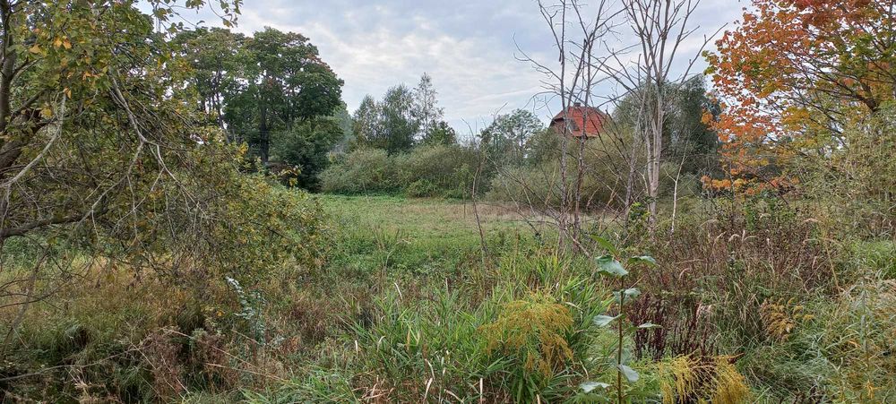 Działka budowlana Lędziechowo - blisko Łeby - Widok 3