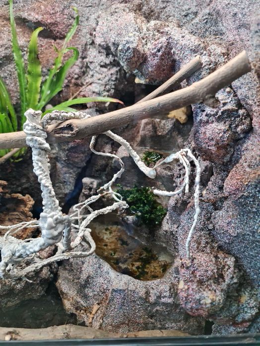 terrarium wyposażone