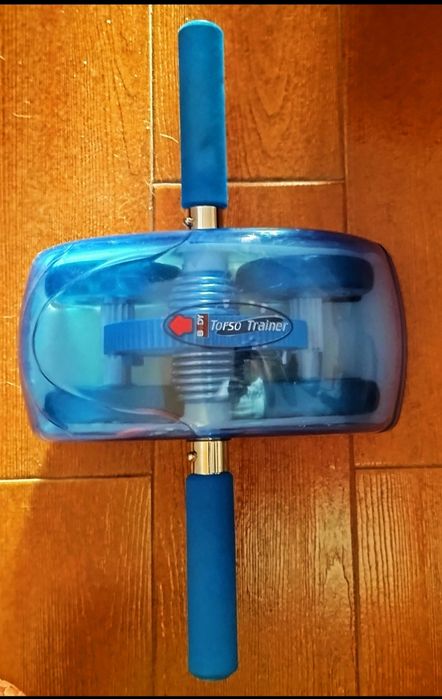 Swing Stepper in good condition64585348662915120