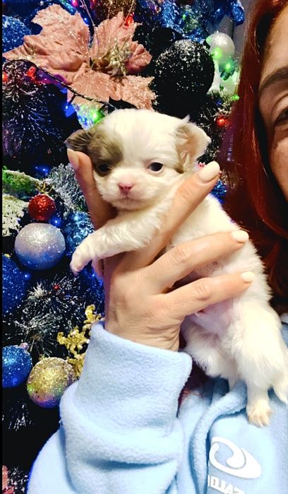 Мальчишечка супер мини