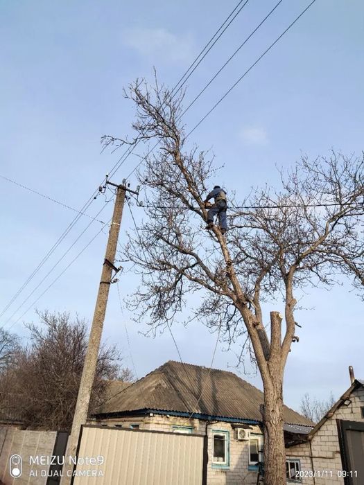 Зріз ,видалення дерев