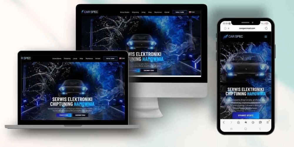 Profesjonalne Strony Internetowe i Sklepy WooCommerce | WordPress | FVAT | Portfolio