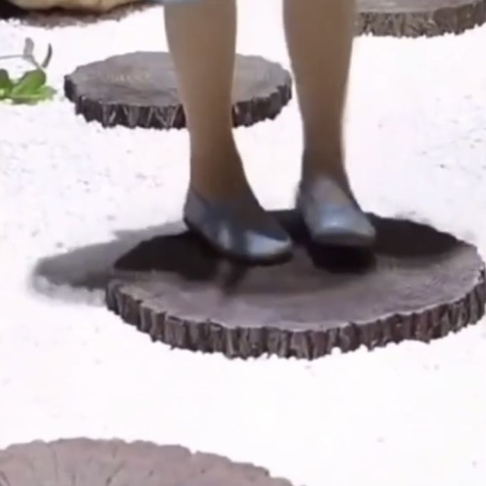 Ścieźka jak żółwi szlak