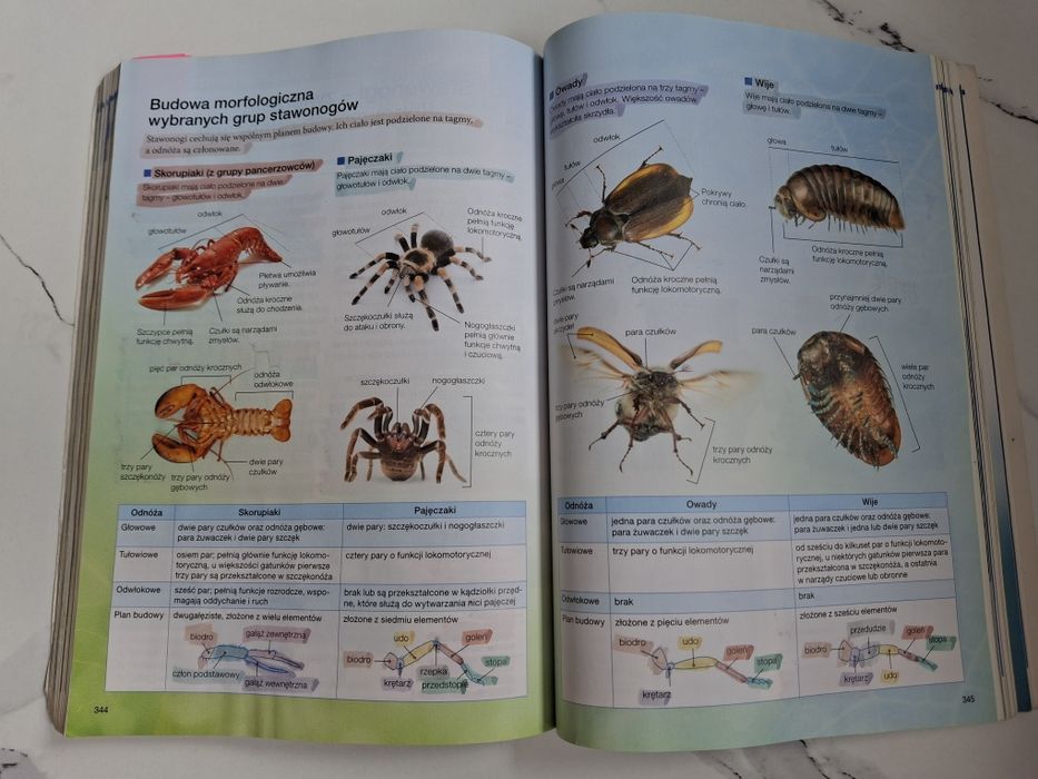 Biologia na czasie 2
