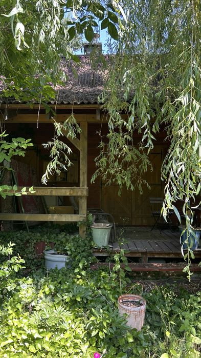 Domek z ogrodem Strzeniówka - More