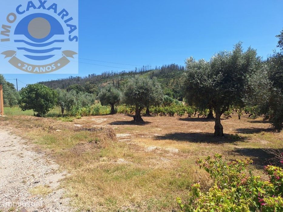 Terreno para construção 1972m2