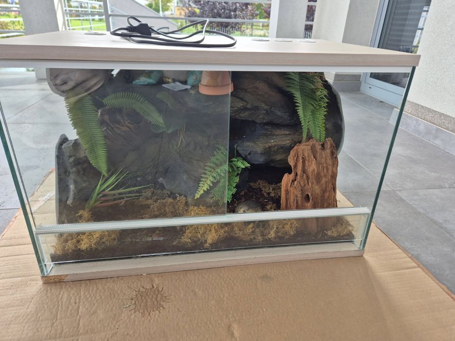 Terrarium z wyposażeniem