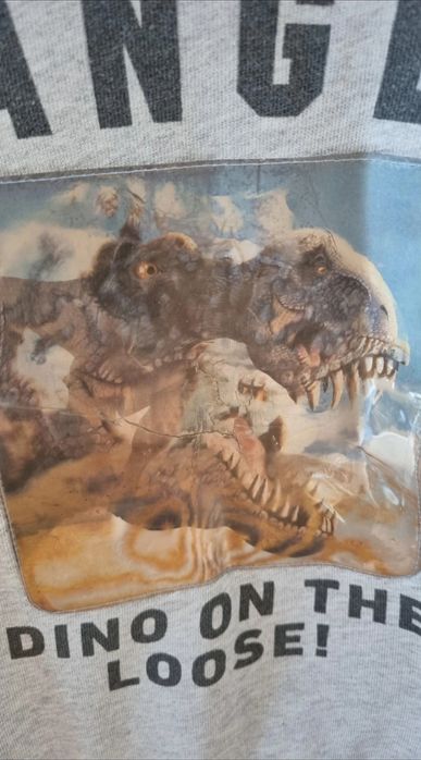 Bluza szara dinozaur 110/116 h&m