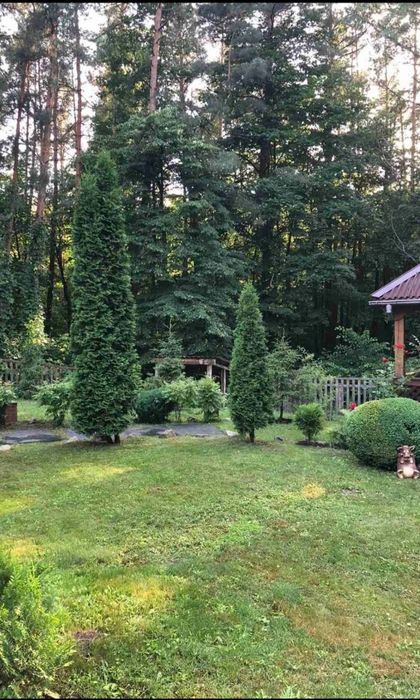 Продам Будинок біля Сум, Свій пляж, Ліс