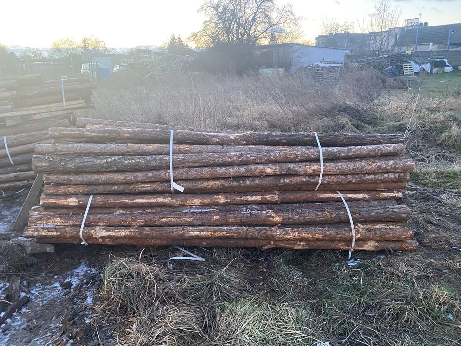 Stemple budowlane / żerdzie sosnowe – ok. 150 szt.