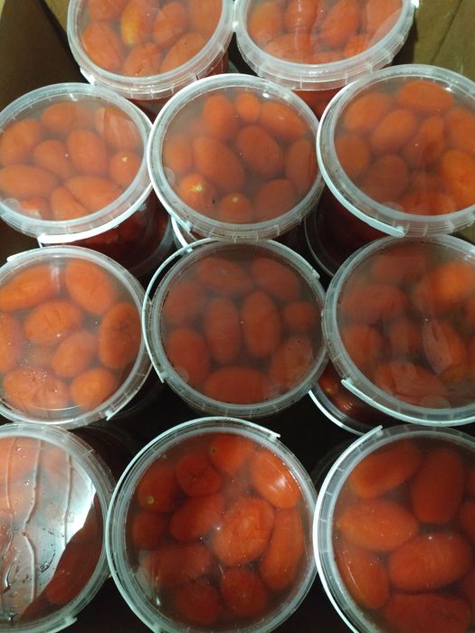 Продам бочковий помідор