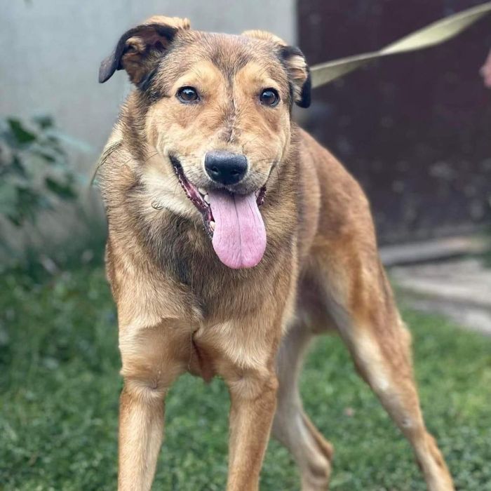 Шанс в поиске семьи