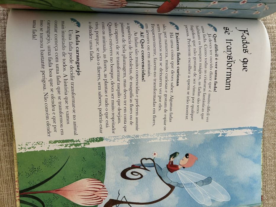 Livro O Grande Livro das Fadas