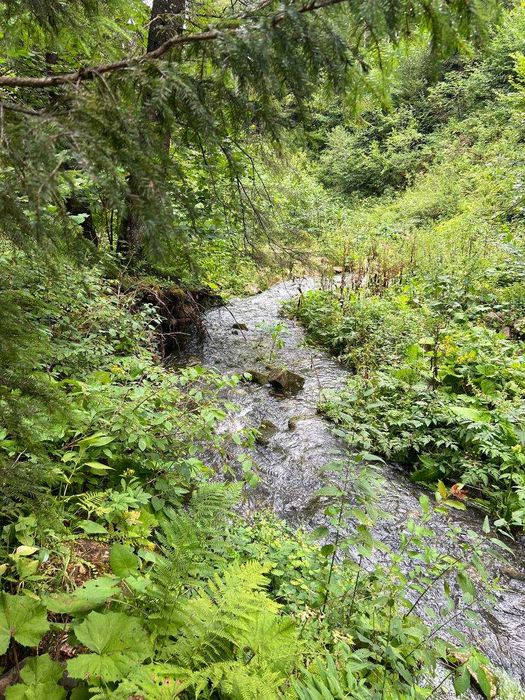 Ділянка в Карпатах, Микуличин 25сот,біля потічка, власник