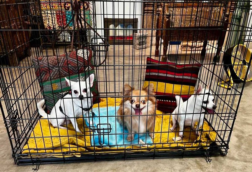 Клітка вольер клетка переноска для собак кошек птиц Польша 6-розмірів