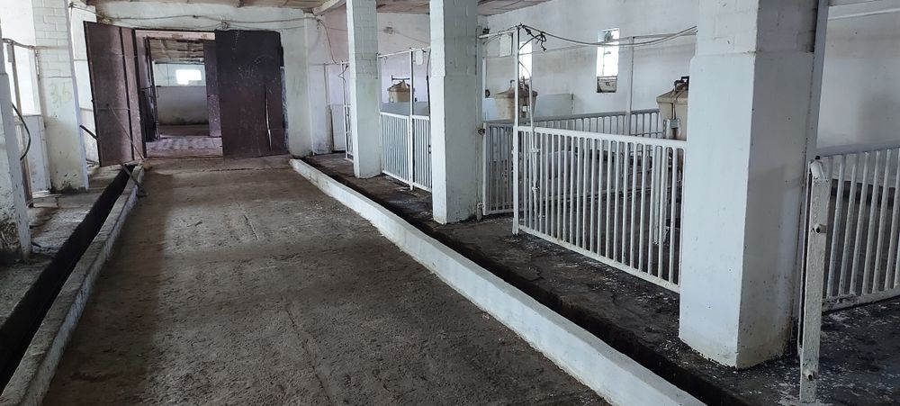 Продам ферму хозяйство ранчо