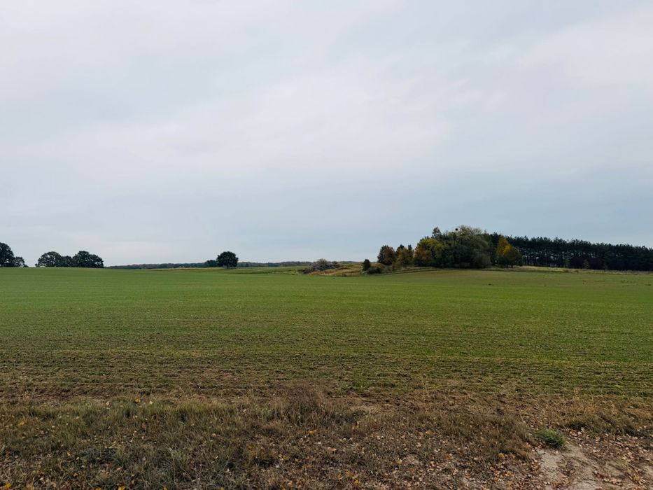 Działka budowlana - pod wymarzony dom - Widok 4