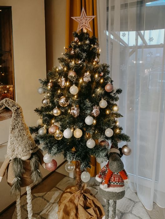 Sprzedam choinkę na pniu 165cm