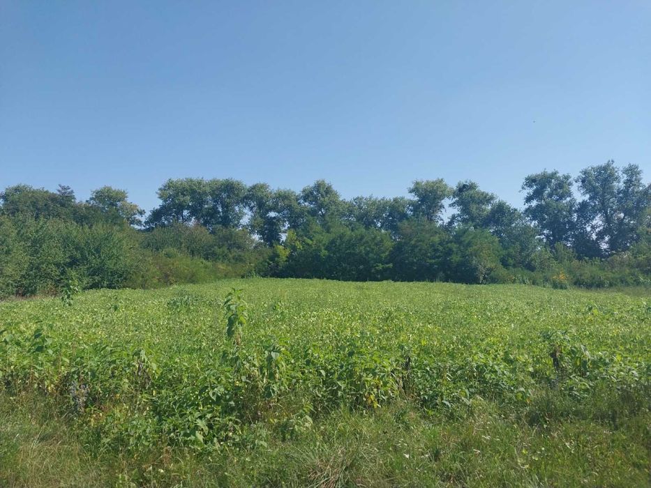 Продам ділянку під забудову