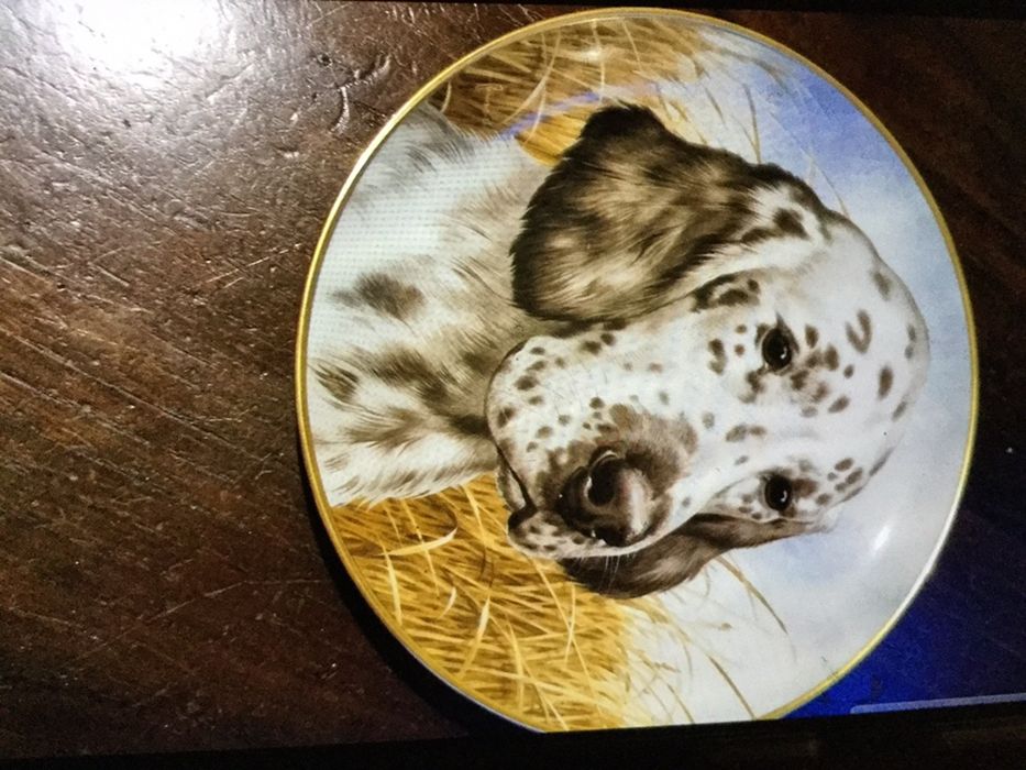 Conjunto de 3  pratos decorativos