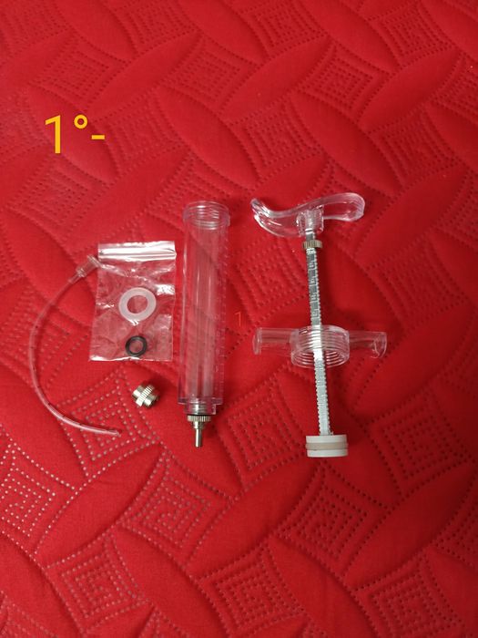 Pássaro aves animais criações