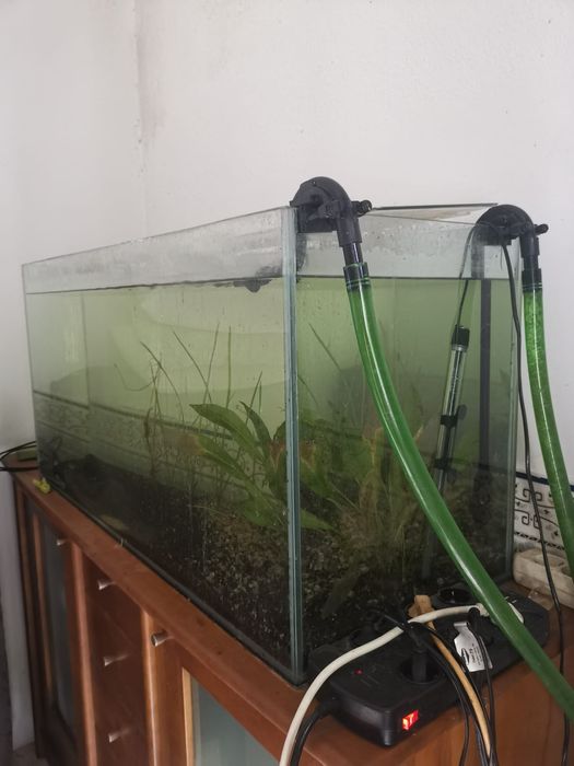 Aquario 1mX40cmX50cm
