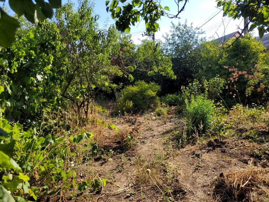 Дом по адресу Люстдорфская дор. (площадь 142 м²) - Atlanta.ua - фото 9