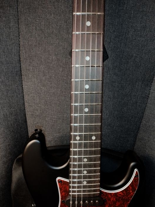 Harley Benton Pro II (Homestudio Version)