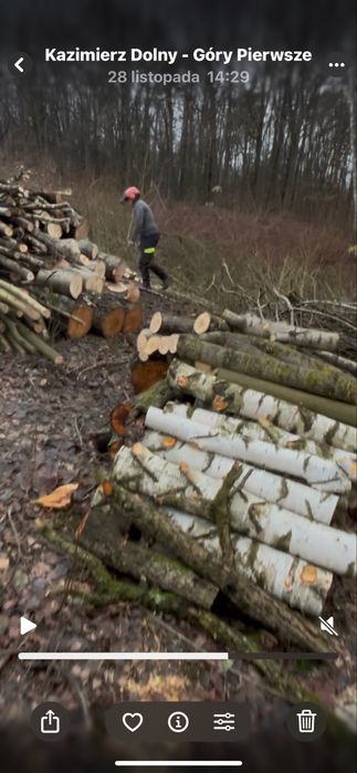 Drewno 50/60m3 gotowe do zabrania