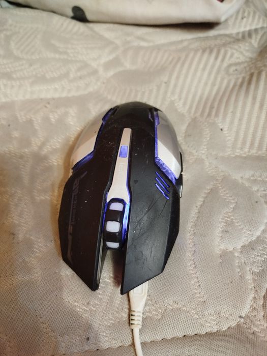 Мышь компьютерная