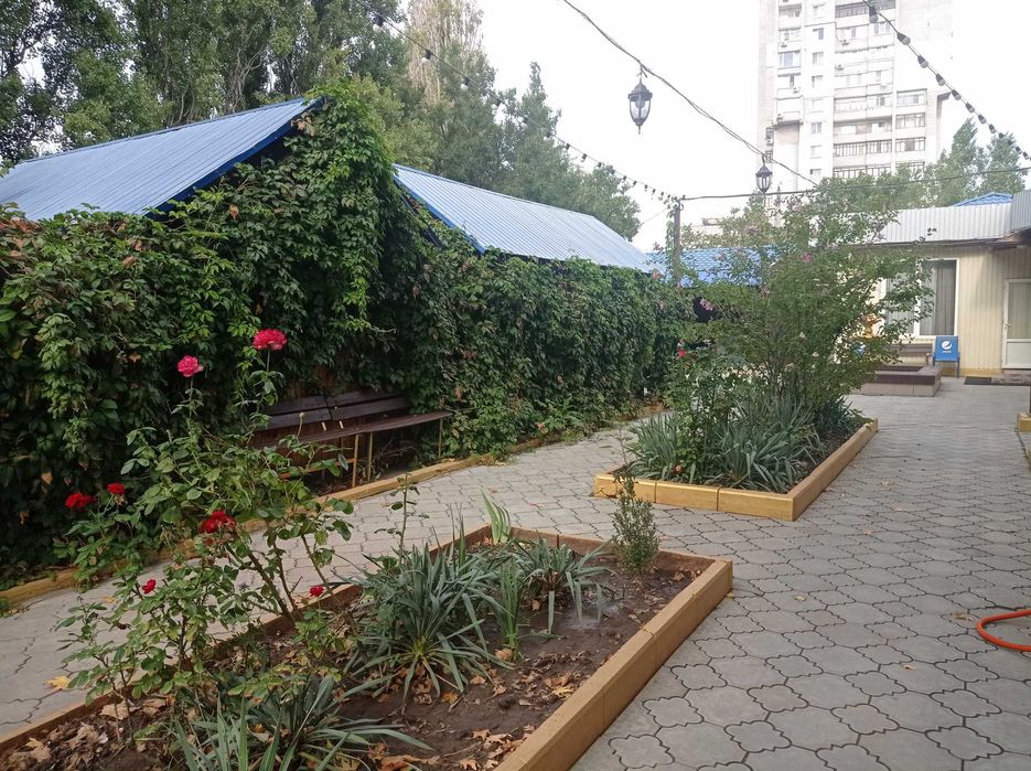 Сдается в аренду действующее кафе-бар "Золотой Гриль" (Лески)