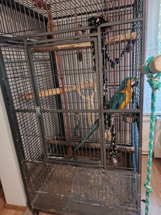 Woliera posiadam również ptaki