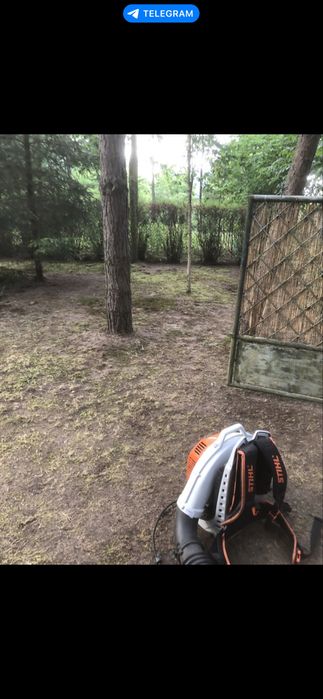 Czyszczenie działek, koszenie trawy