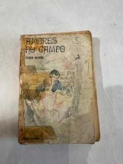Livro Amores no campo