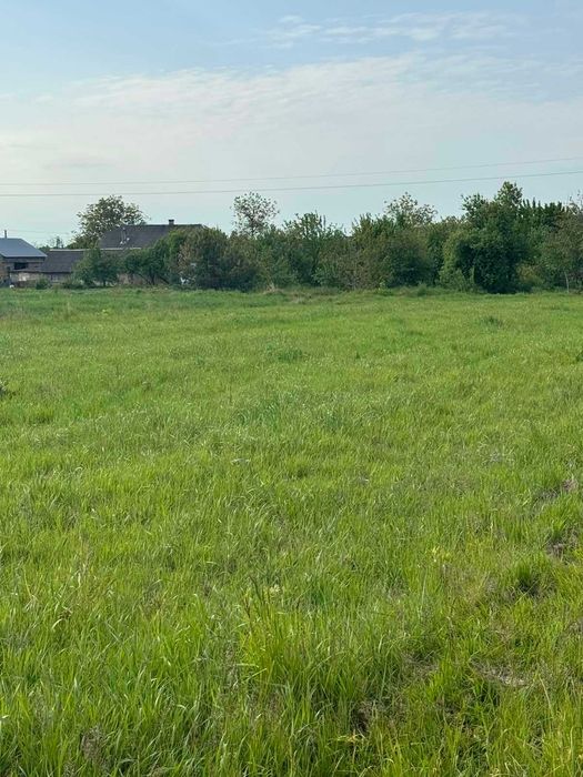 Земельна ділянка, с. Пили