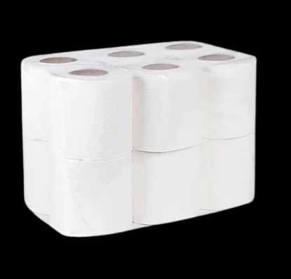 lote de papel higienico 12 rolos