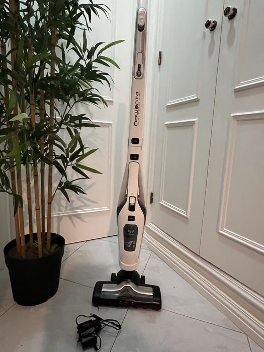 Aspirador Vertical Rowenta