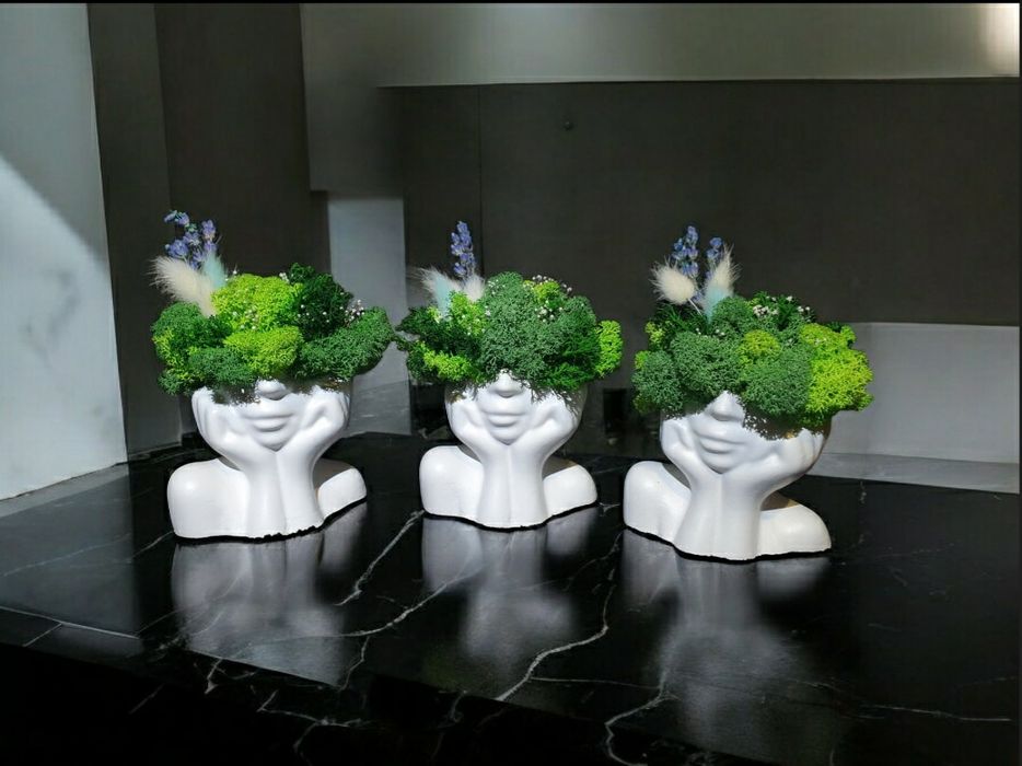 Мох стабилизированный стабілізований  норвежский кашпо руки