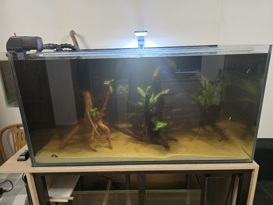 Sprzedam akwarium 120x60x60
