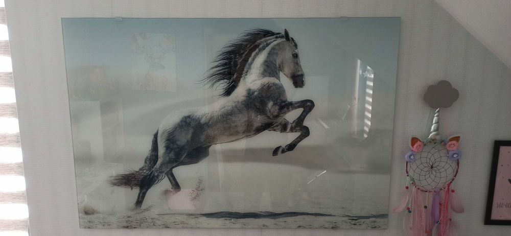 Duży szklany obraz koń